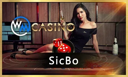 Bingo Promotions